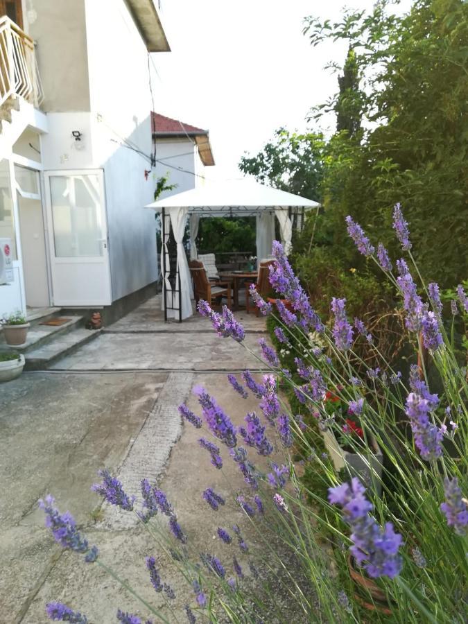 Lili Apartment In Zadar Pet Friendly, Free Parking Εξωτερικό φωτογραφία